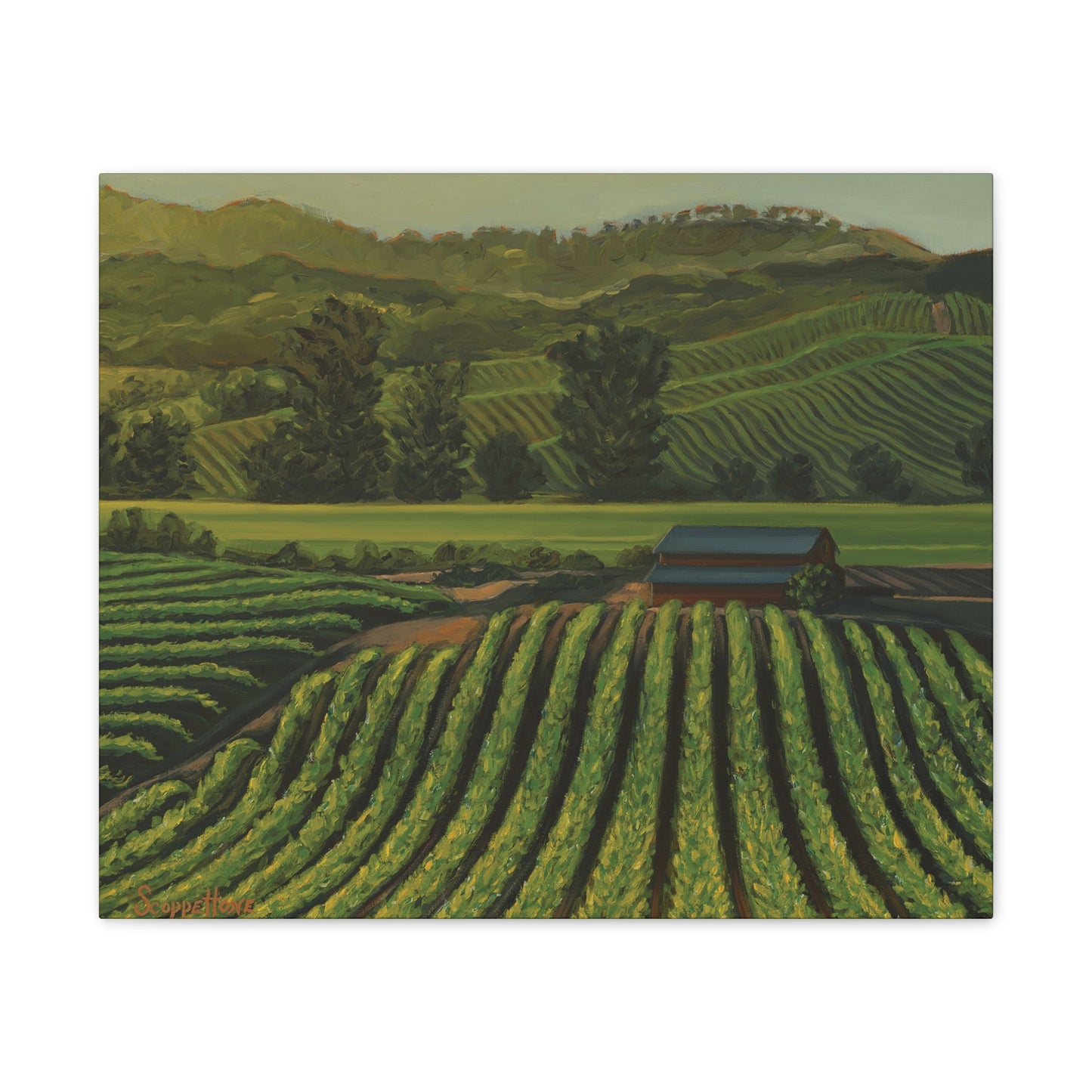 Napa Valley Sunset - Fine Art Print on Canvas